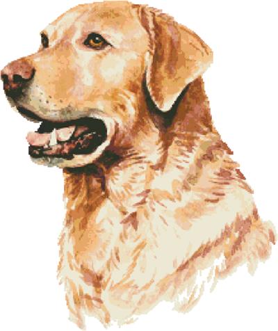 (image for) Labrador Retriever in Watercolor